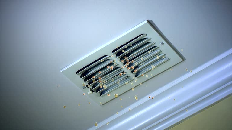 Best HVAC Duct Inspection Services  in Cressona, PA